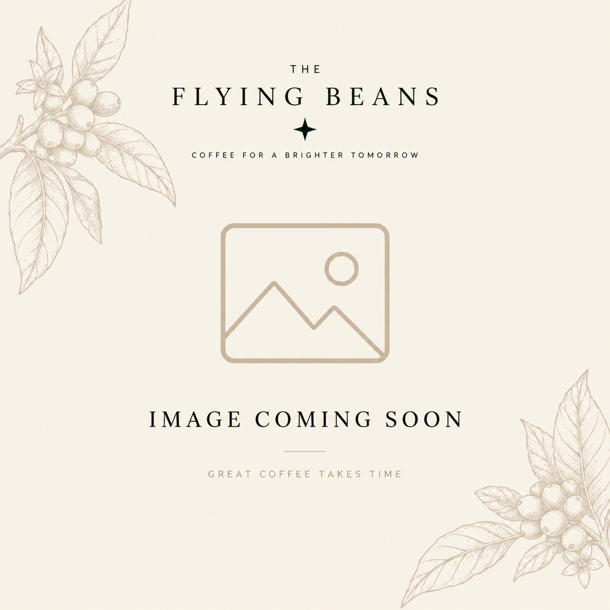 India TFB T-Shirt — The Flying Beans